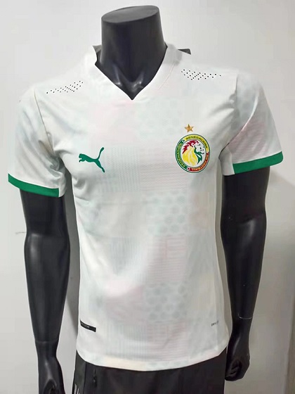 AAA Quality Senegal 21/22 Home Soccer Jersey(Player)
